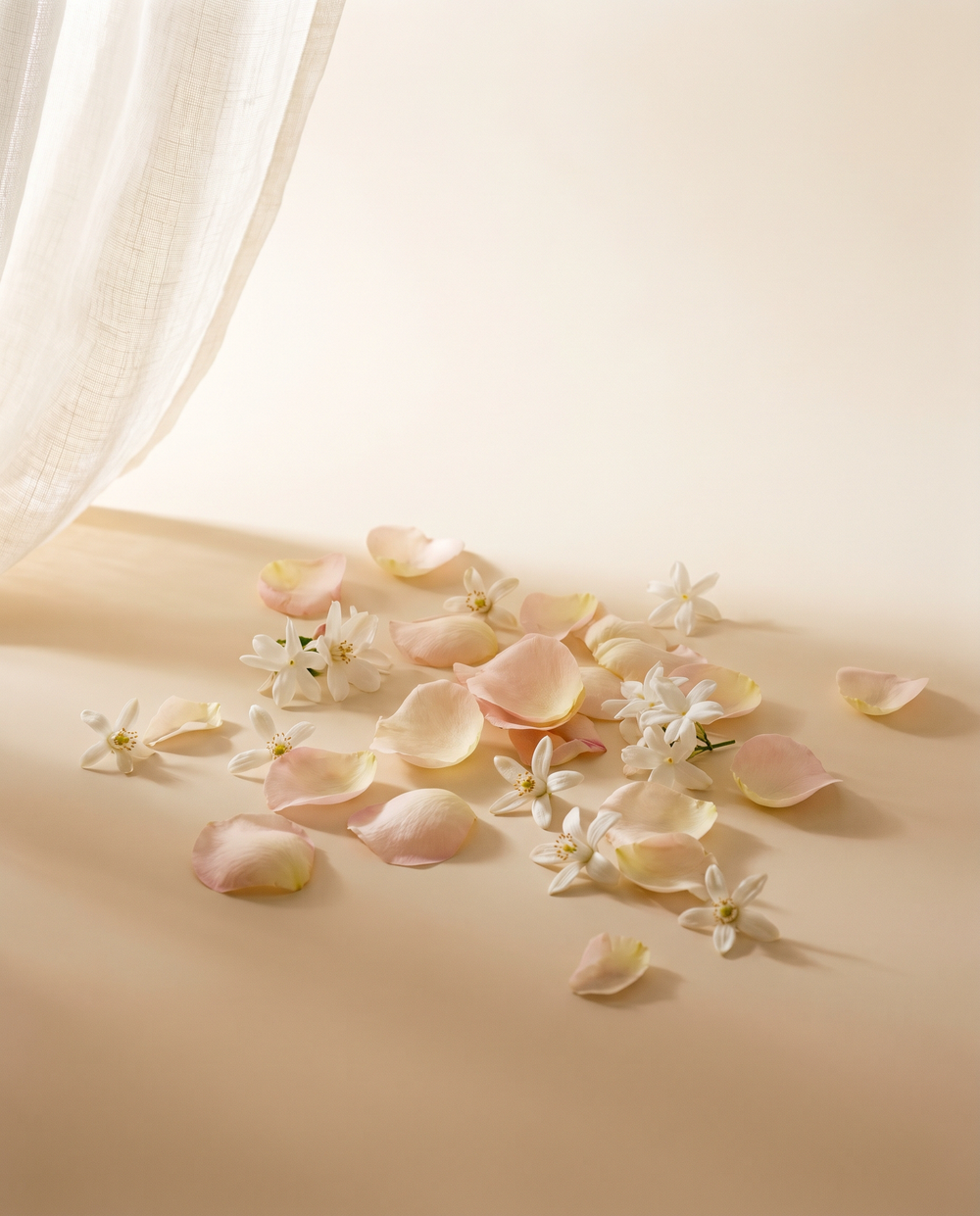 Florales
