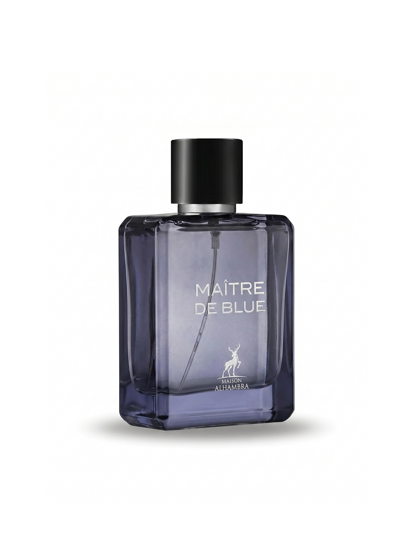 Maître de Blue