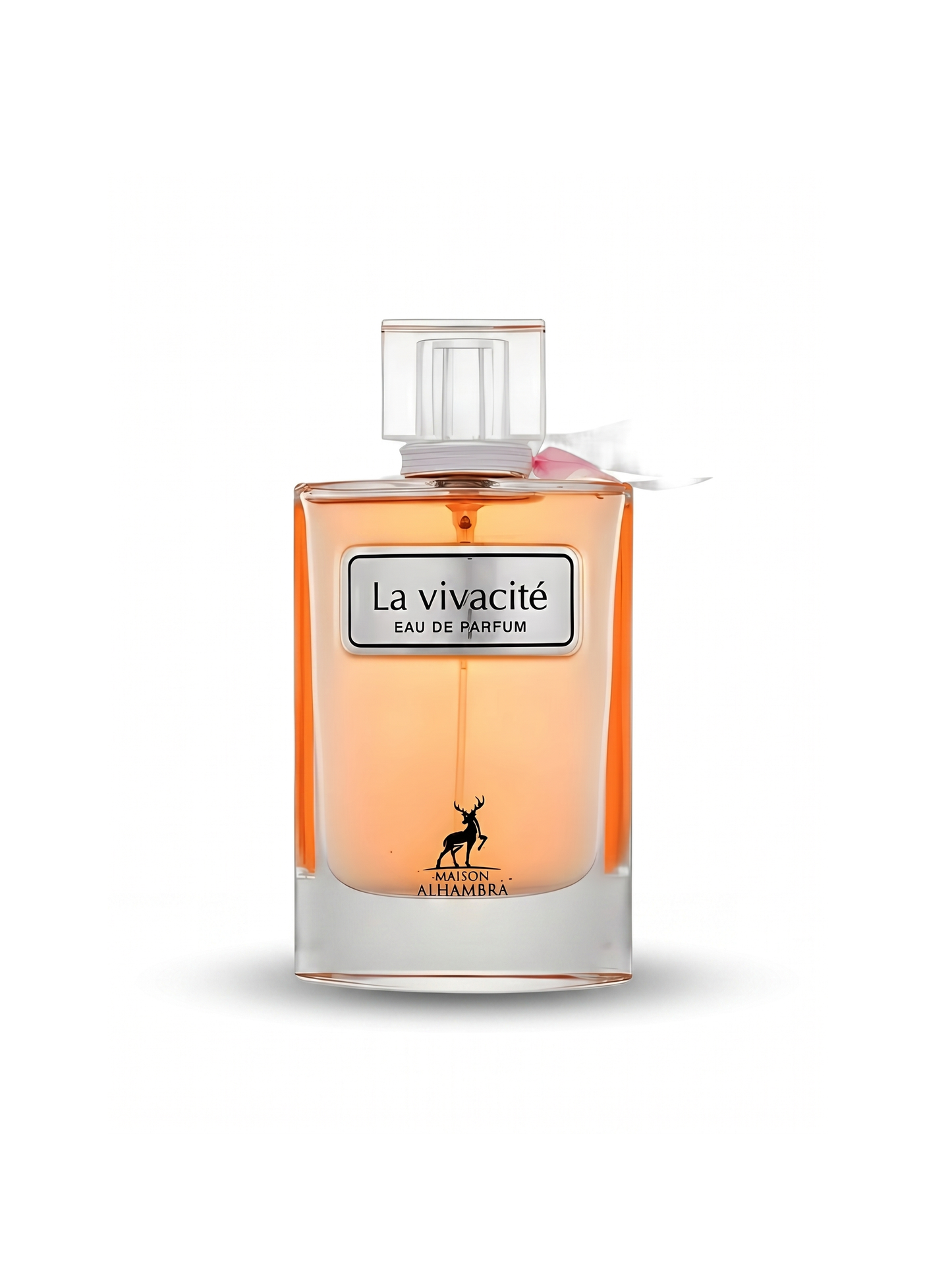 La Vivacité
